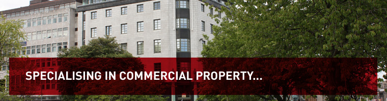 Craig Watson Property Consultants